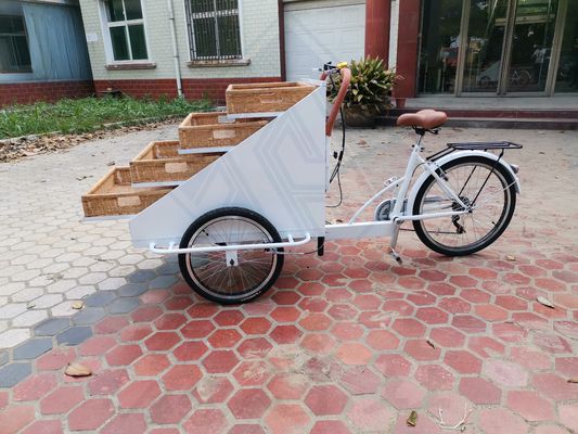 Βίντεο Τεχνική Υποστήριξη Προσαρμοσμένο τροφίμων Snack Truck Ηλεκτρικό ποδήλατο για καυτό καλάθι τροφίμων