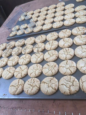 Μηχανή επεξεργασίας μπισκότων και μπισκότων με πολυλειτουργία