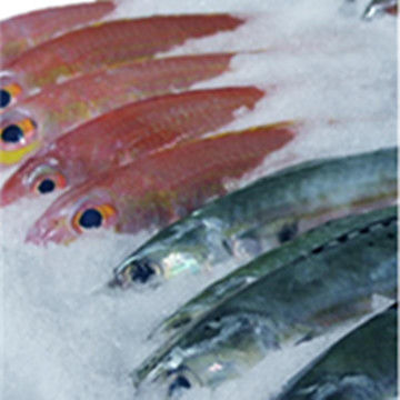 Εφαρμογή της διαδικτυακής υποστήριξης