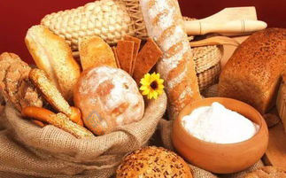 Αυτόματη λειτουργία ψήσιμο ψωμιού Pita Ηλεκτρικό βενζίνη ντίζελ περιστρεφόμενος φούρνος σύγκλισης 50,5kw