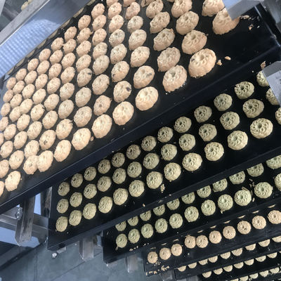 Πλήρως αυτόματη μηχανή παρασκευής μαλακών μπισκότων με διαφορετική παραγωγική ικανότητα