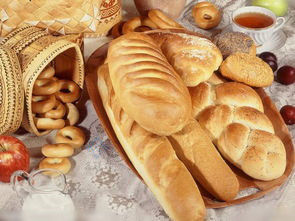 Φούρνο ψήσιμο ψωμιού 32 Ροταριακό βιομηχανικό ηλεκτρικό μπισκότο κέικ ψωμί φούρνο ψήσιμο πλήρως αυτόματο