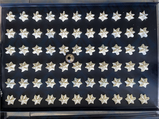 Επαγγελματικά μηχανήματα για την παρασκευή μπισκότων και μπισκότων